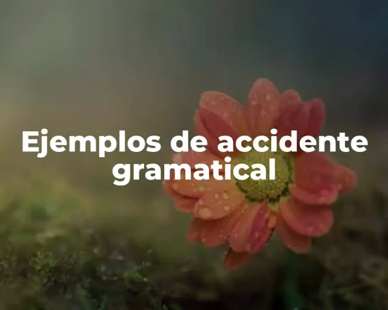 Ejemplos de accidente gramatical