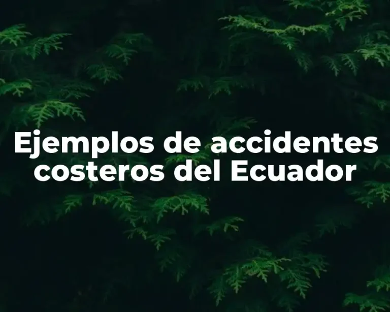Ejemplos de accidentes costeros del Ecuador