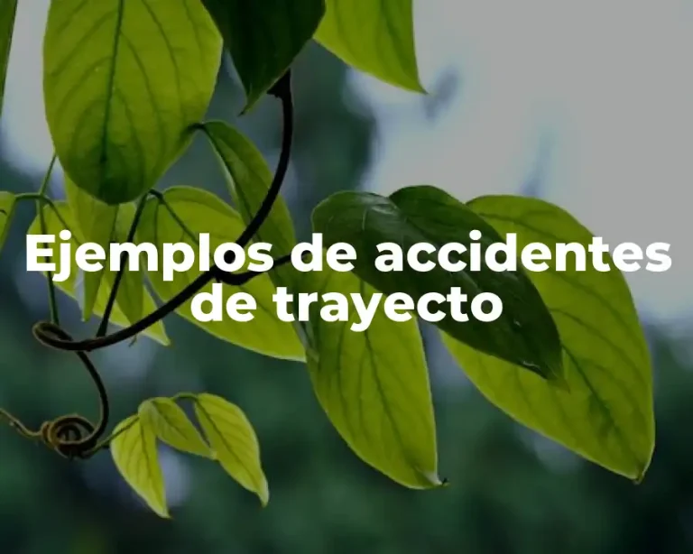 Ejemplos de accidentes de trayecto