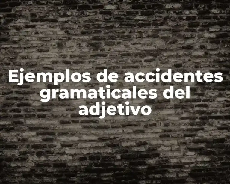 Ejemplos de accidentes gramaticales del adjetivo