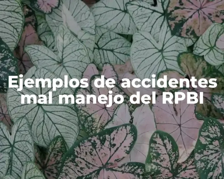 Ejemplos de accidentes mal manejo del RPBI
