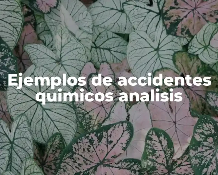 Ejemplos de accidentes quimicos analisis