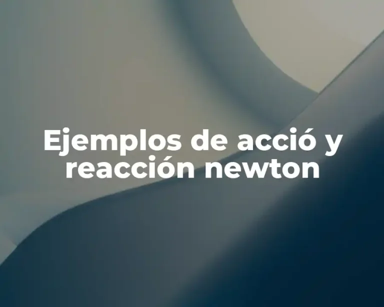 Ejemplos de acció y reacción newton