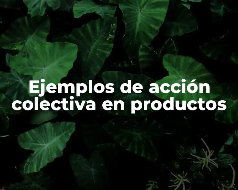 Ejemplos de acción colectiva en productos