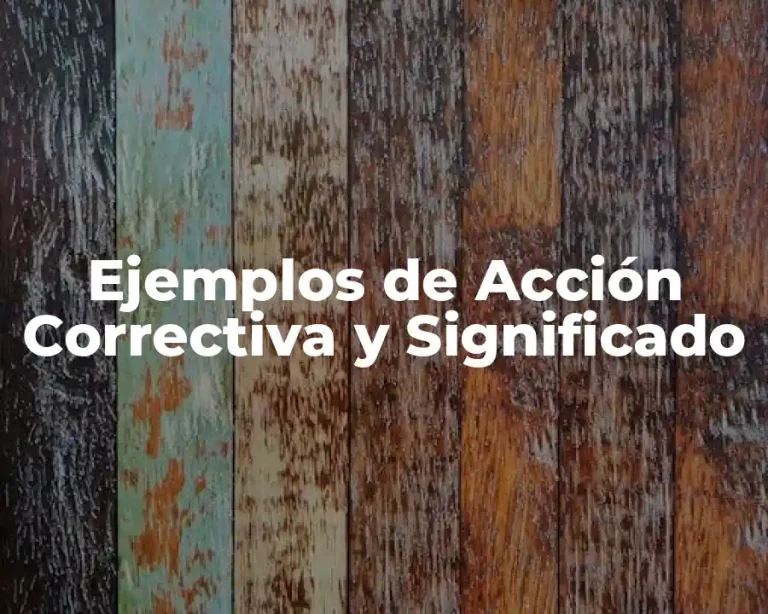 Ejemplos de Acción Correctiva y Significado
