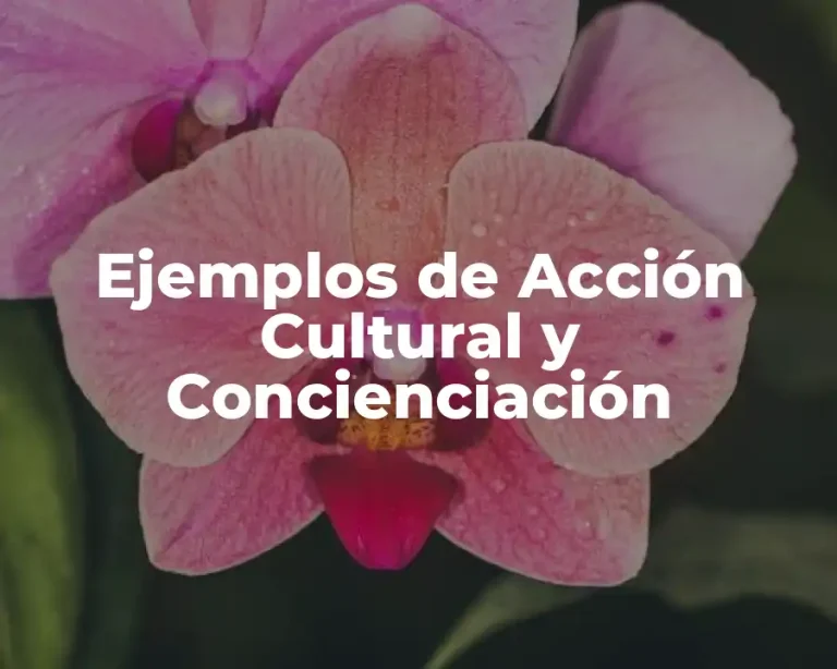 Ejemplos de Acción Cultural y Concienciación