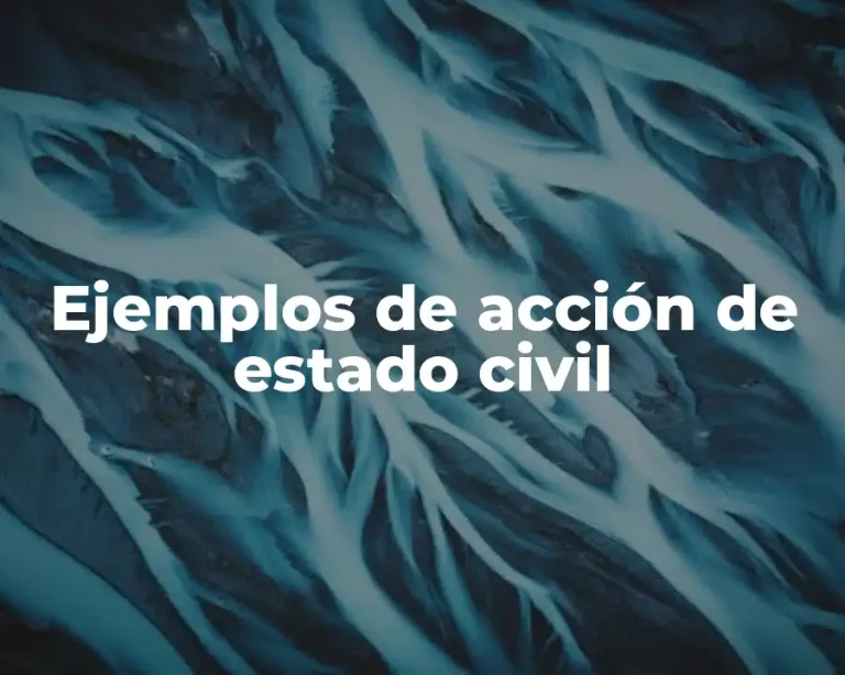 Ejemplos de acción de estado civil