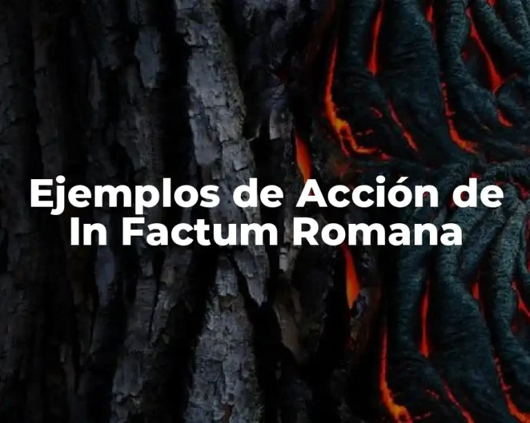 Ejemplos de Acción de In Factum Romana
