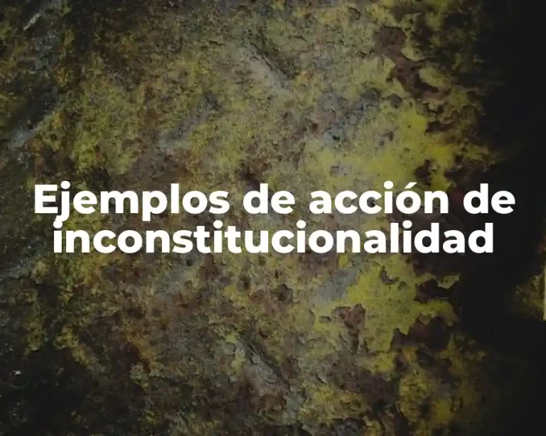 Ejemplos de acción de inconstitucionalidad