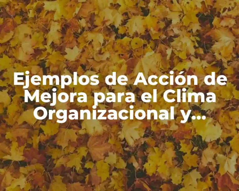 Ejemplos de Acción de Mejora para el Clima Organizacional y Significado
