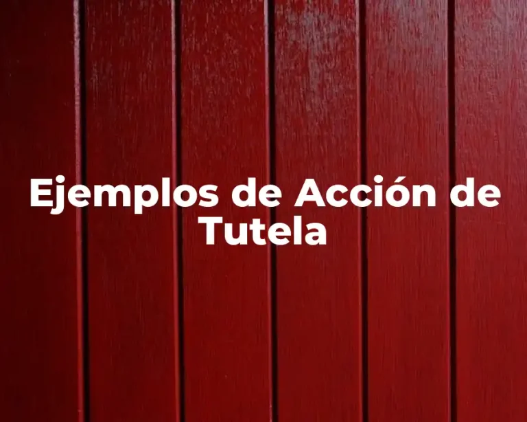 Ejemplos de Acción de Tutela