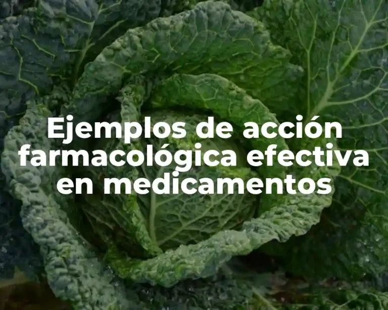 Ejemplos de acción farmacológica efectiva en medicamentos