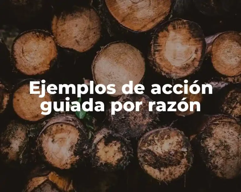 Ejemplos de acción guiada por razón
