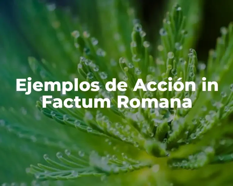 Ejemplos de Acción in Factum Romana