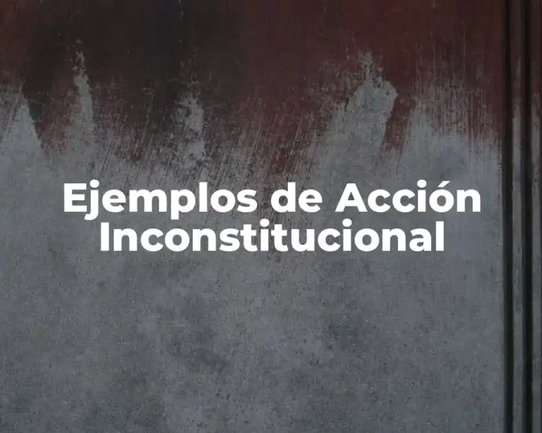 Ejemplos de Acción Inconstitucional