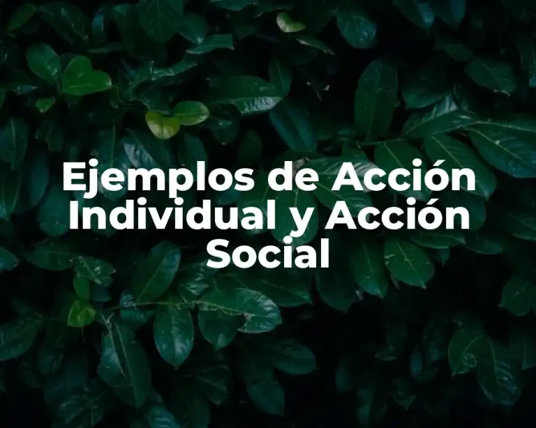 Ejemplos de Acción Individual y Acción Social