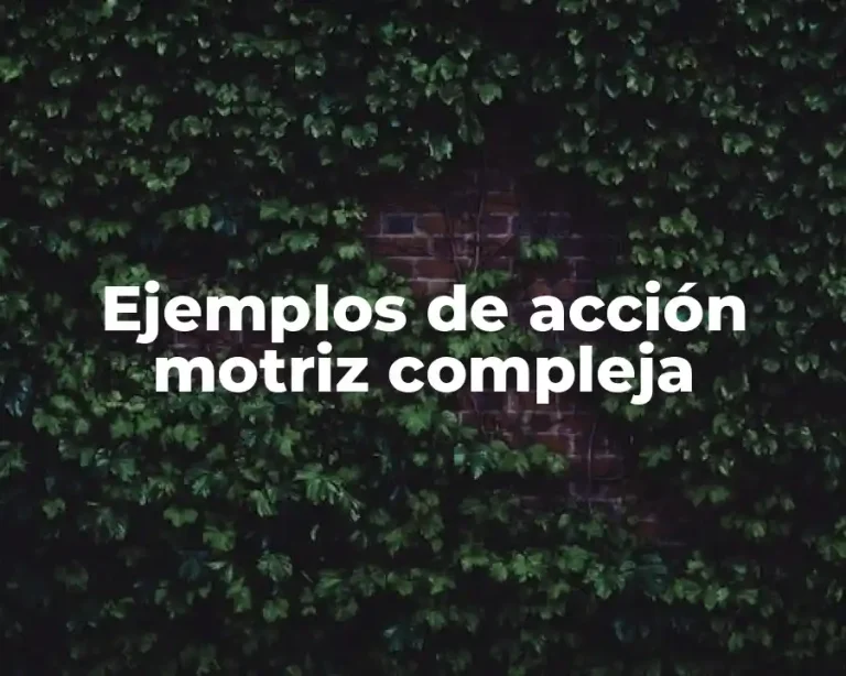 Ejemplos de acción motriz compleja