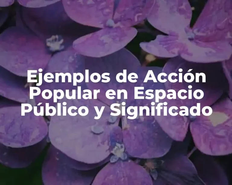 Ejemplos de Acción Popular en Espacio Público y Significado
