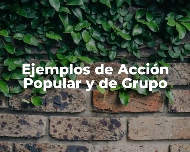 Ejemplos de Acción Popular y de Grupo