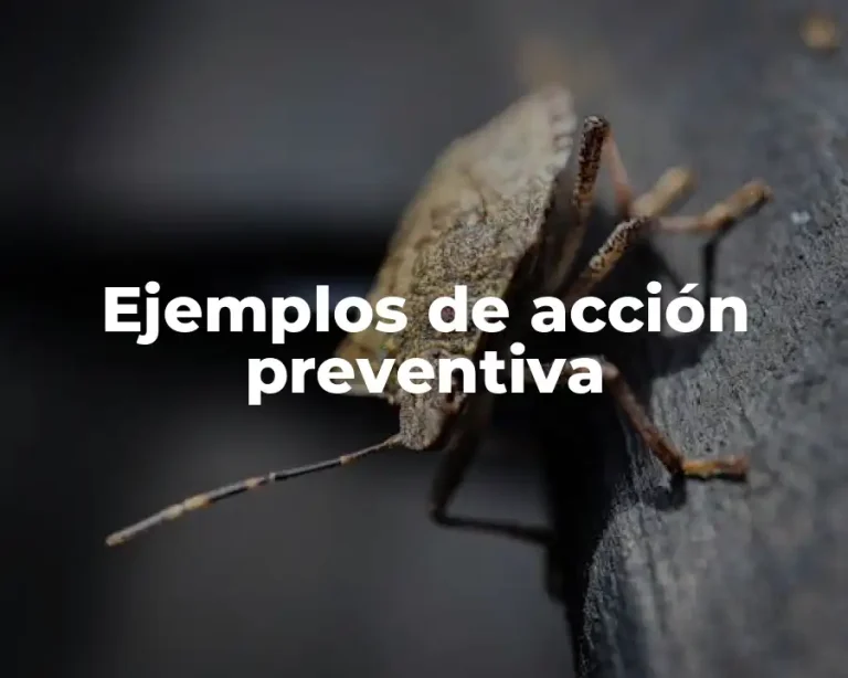 Ejemplos de acción preventiva