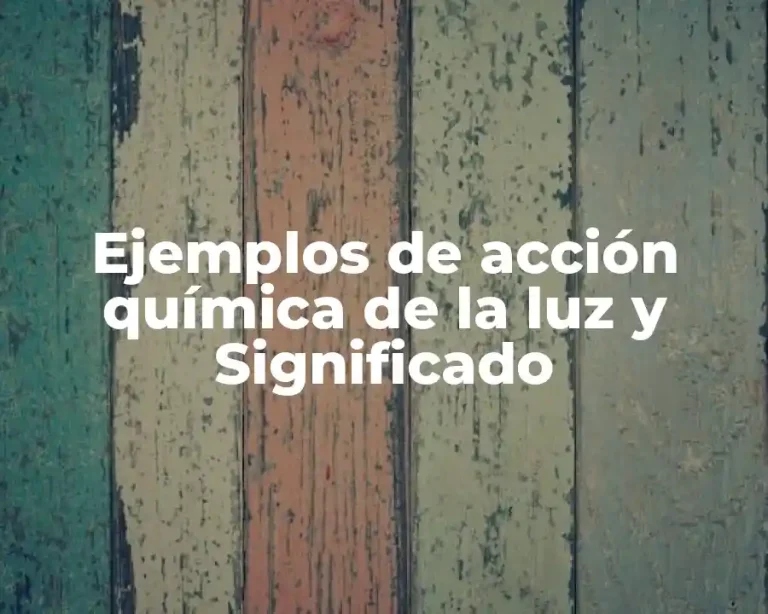 Ejemplos de acción química de la luz y Significado