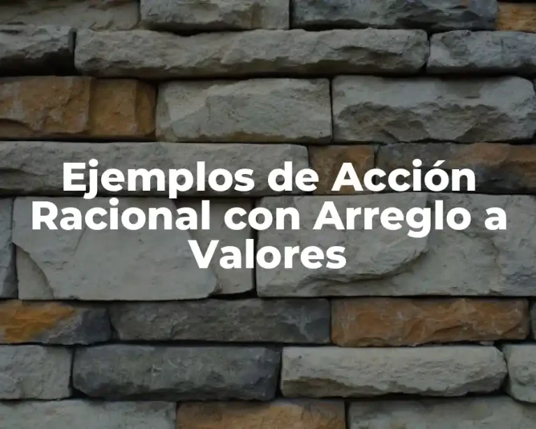 Ejemplos de Acción Racional con Arreglo a Valores