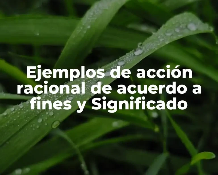 Ejemplos de acción racional de acuerdo a fines y Significado