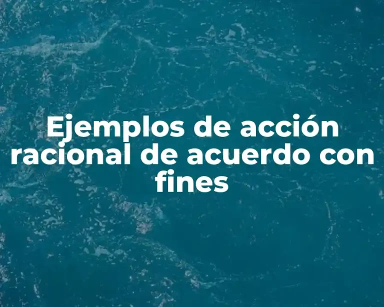 Ejemplos de acción racional de acuerdo con fines
