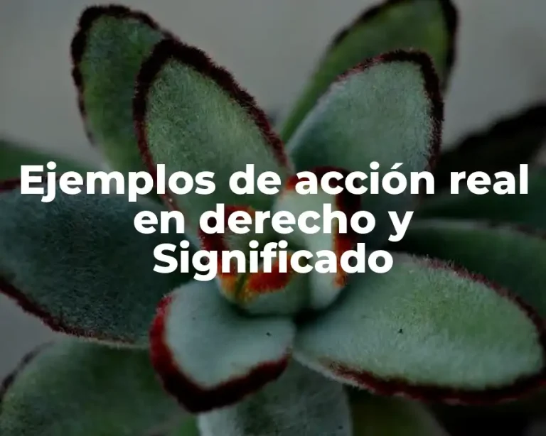 Ejemplos de acción real en derecho y Significado