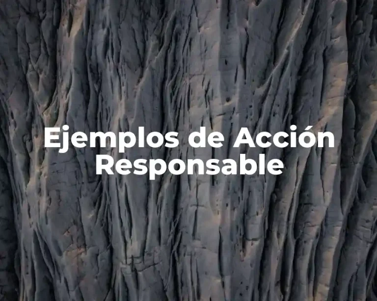 Ejemplos de Acción Responsable