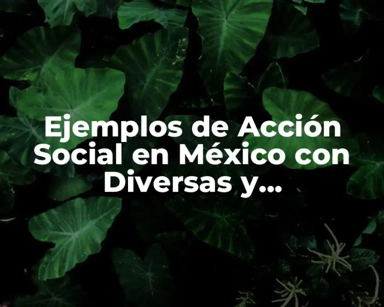 Ejemplos de Acción Social en México con Diversas y Repercusiones