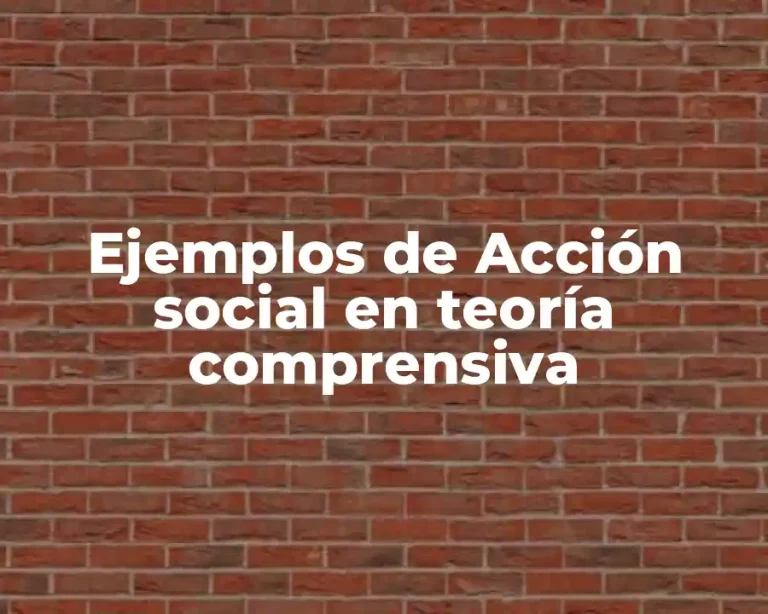 Ejemplos de Acción social en teoría comprensiva