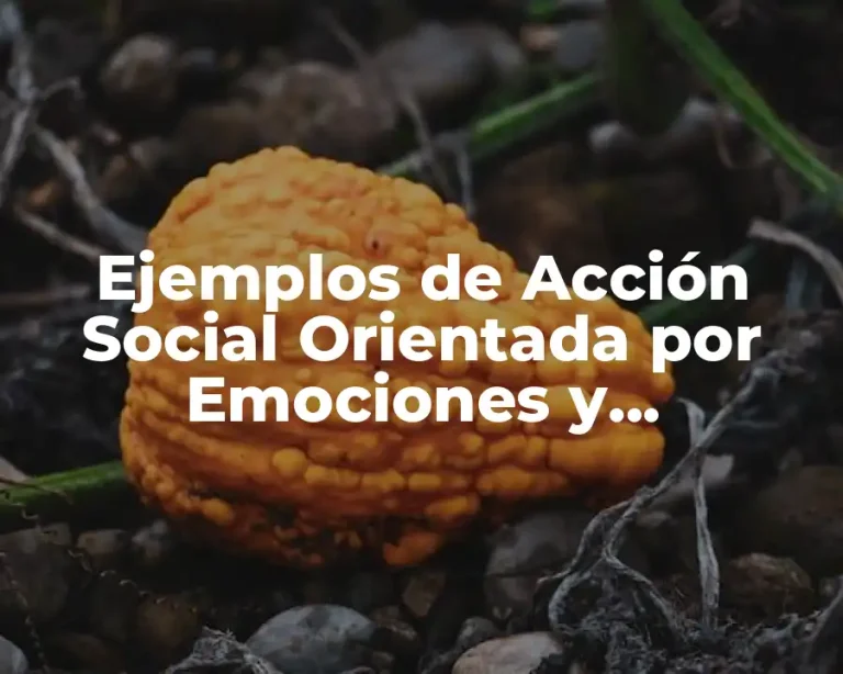 Ejemplos de Acción Social Orientada por Emociones y Significado