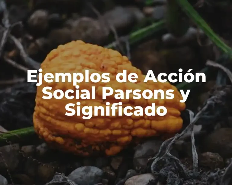 Ejemplos de Acción Social Parsons y Significado