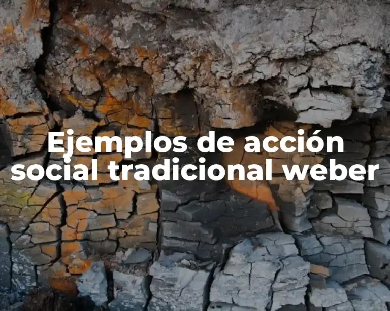 Ejemplos de acción social tradicional weber