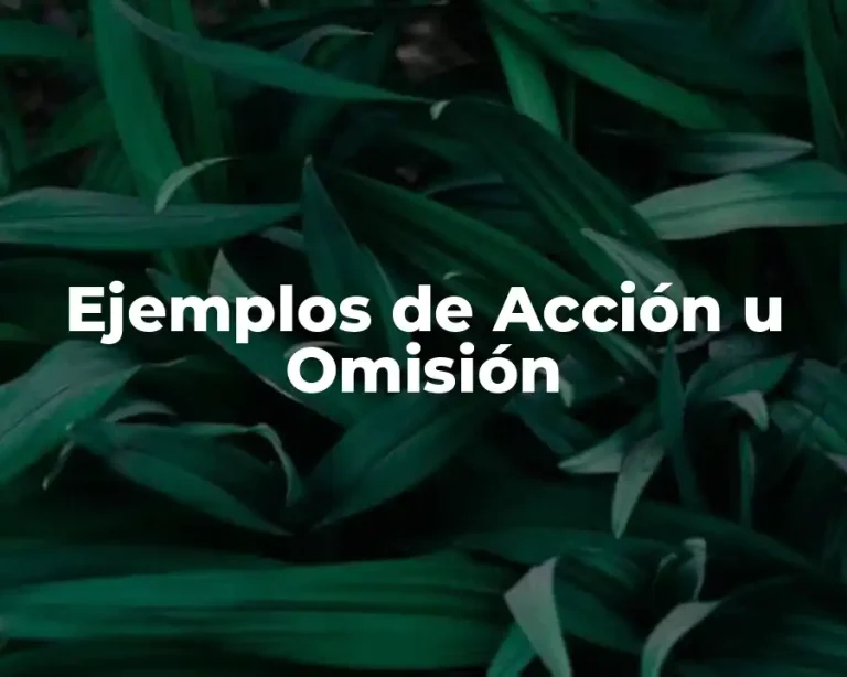 Ejemplos de Acción u Omisión