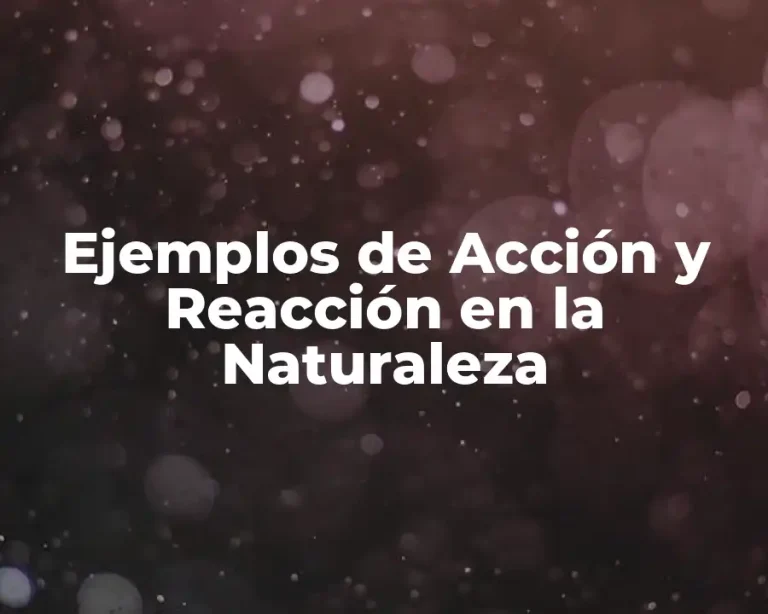 Ejemplos de Acción y Reacción en la Naturaleza