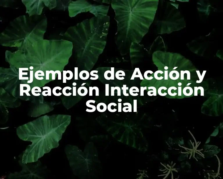 Ejemplos de Acción y Reacción Interacción Social