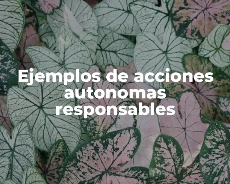 Ejemplos de acciones autonomas responsables