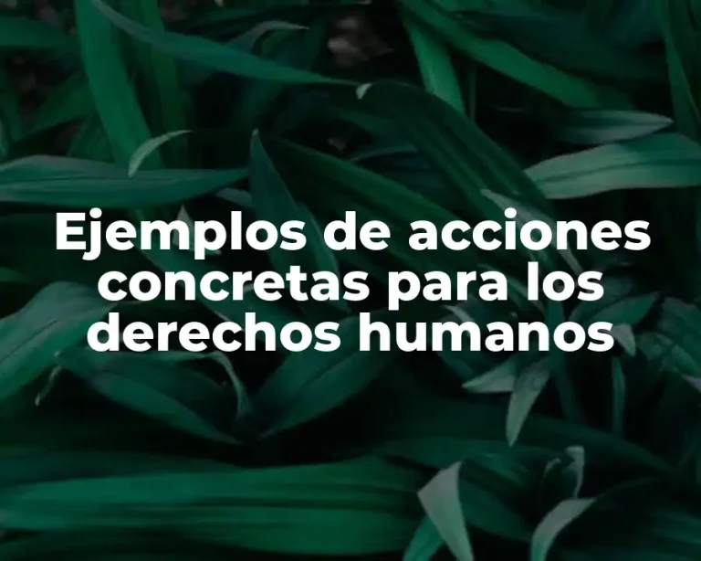 Ejemplos de acciones concretas para los derechos humanos