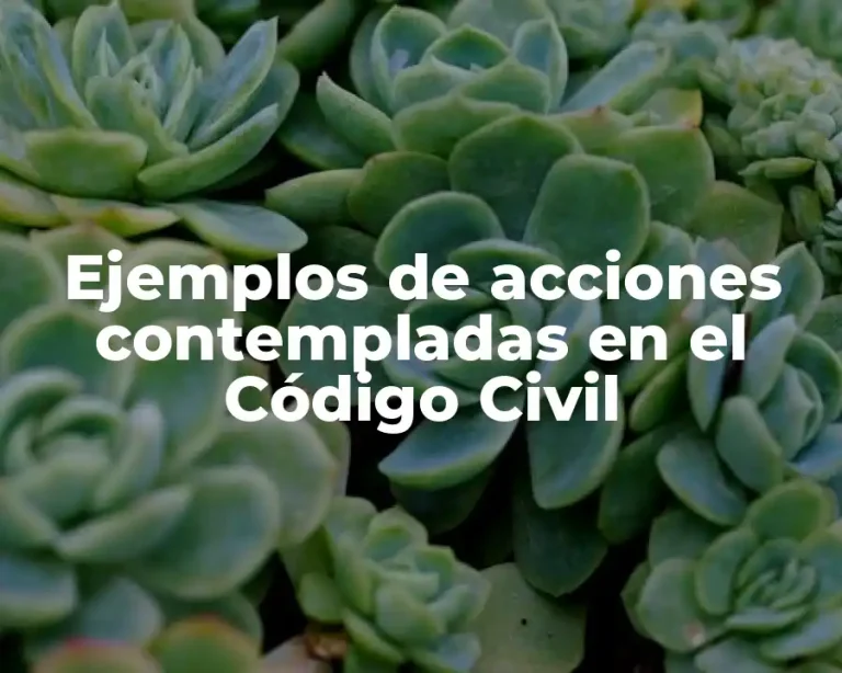 Ejemplos de acciones contempladas en el Código Civil