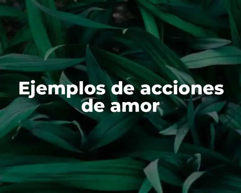 Ejemplos de acciones de amor