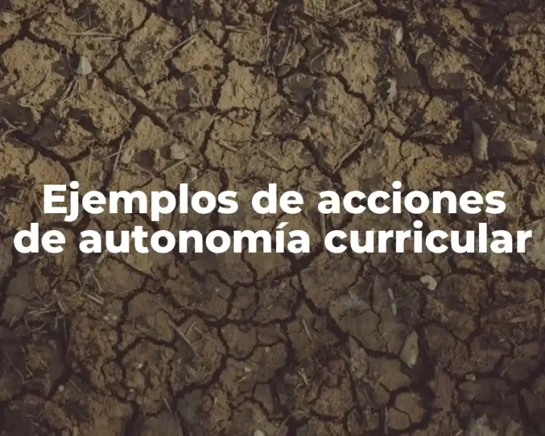 Ejemplos de acciones de autonomía curricular