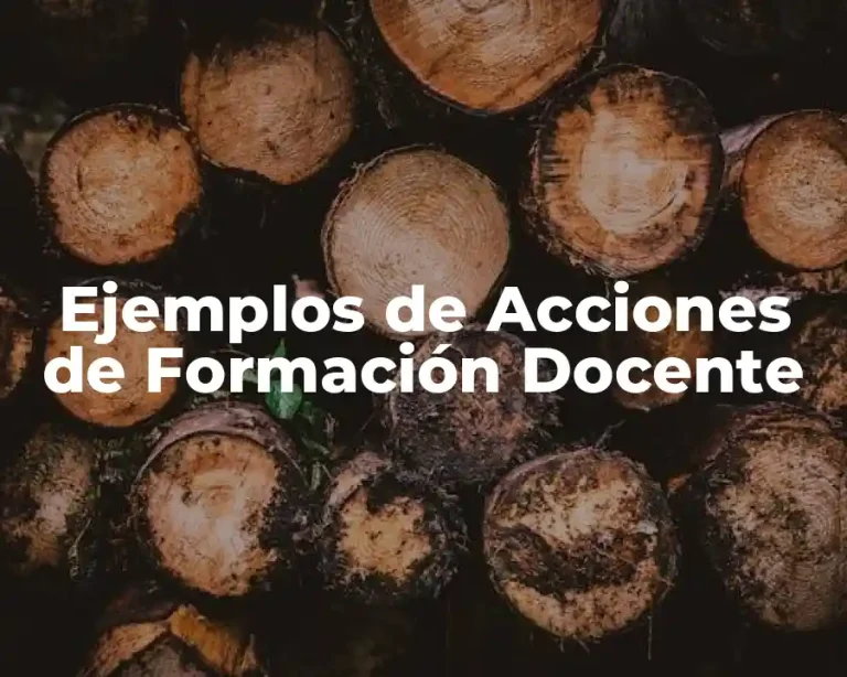 Ejemplos de Acciones de Formación Docente