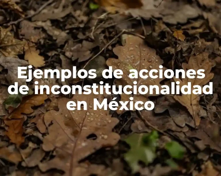 Ejemplos de acciones de inconstitucionalidad en México