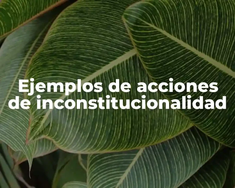 Ejemplos de acciones de inconstitucionalidad