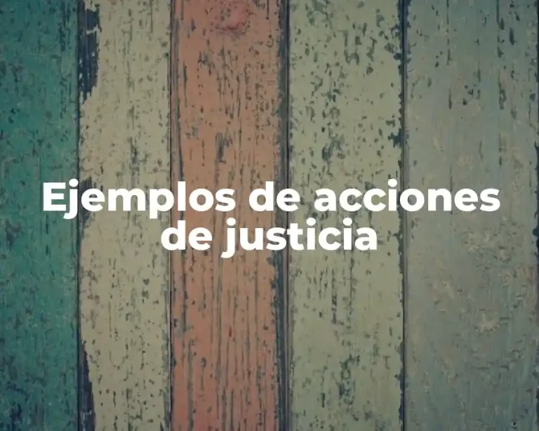 Ejemplos de acciones de justicia