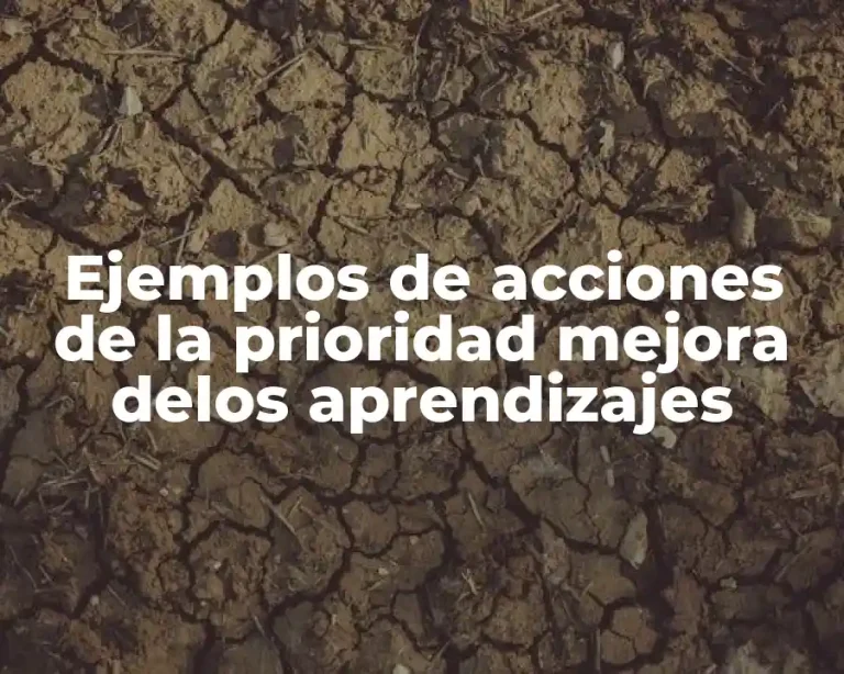 Ejemplos de acciones de la prioridad mejora delos aprendizajes