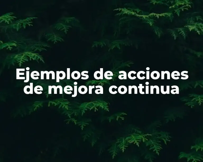 Ejemplos de acciones de mejora continua