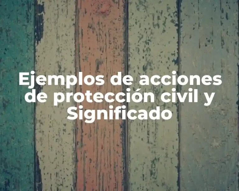 Ejemplos de acciones de protección civil y Significado
